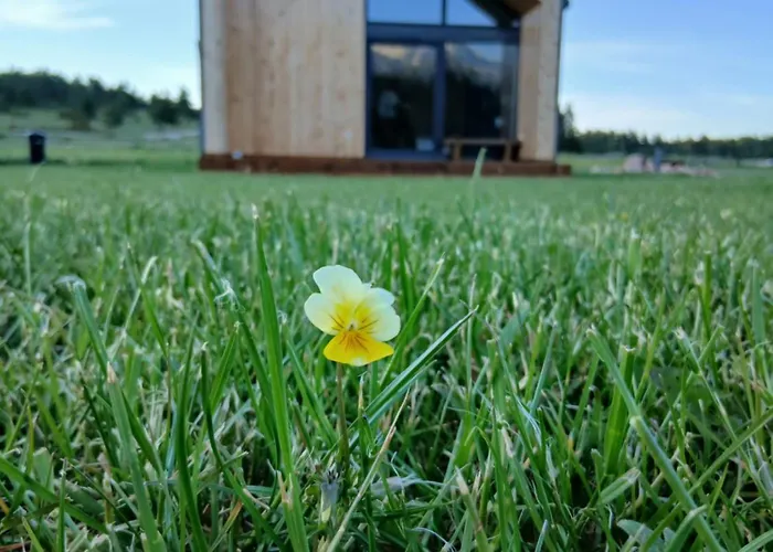 Vikendica Planinski San Blidinje Chalet